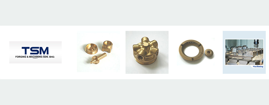 TSM Forging & Machining Sdn Bhd